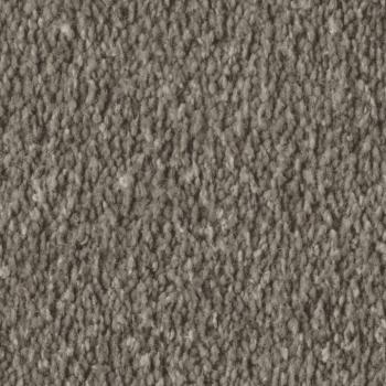 Vorwerk Alba 8L47 nutria – Draufsicht Velours Teppichboden 4 m breit